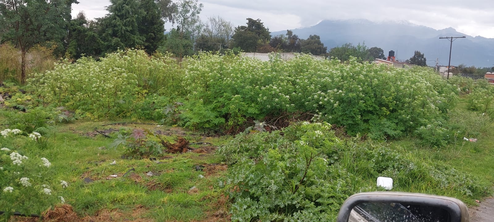 TERRENO EN VENTA EN AYAPANGO - imagen 6
