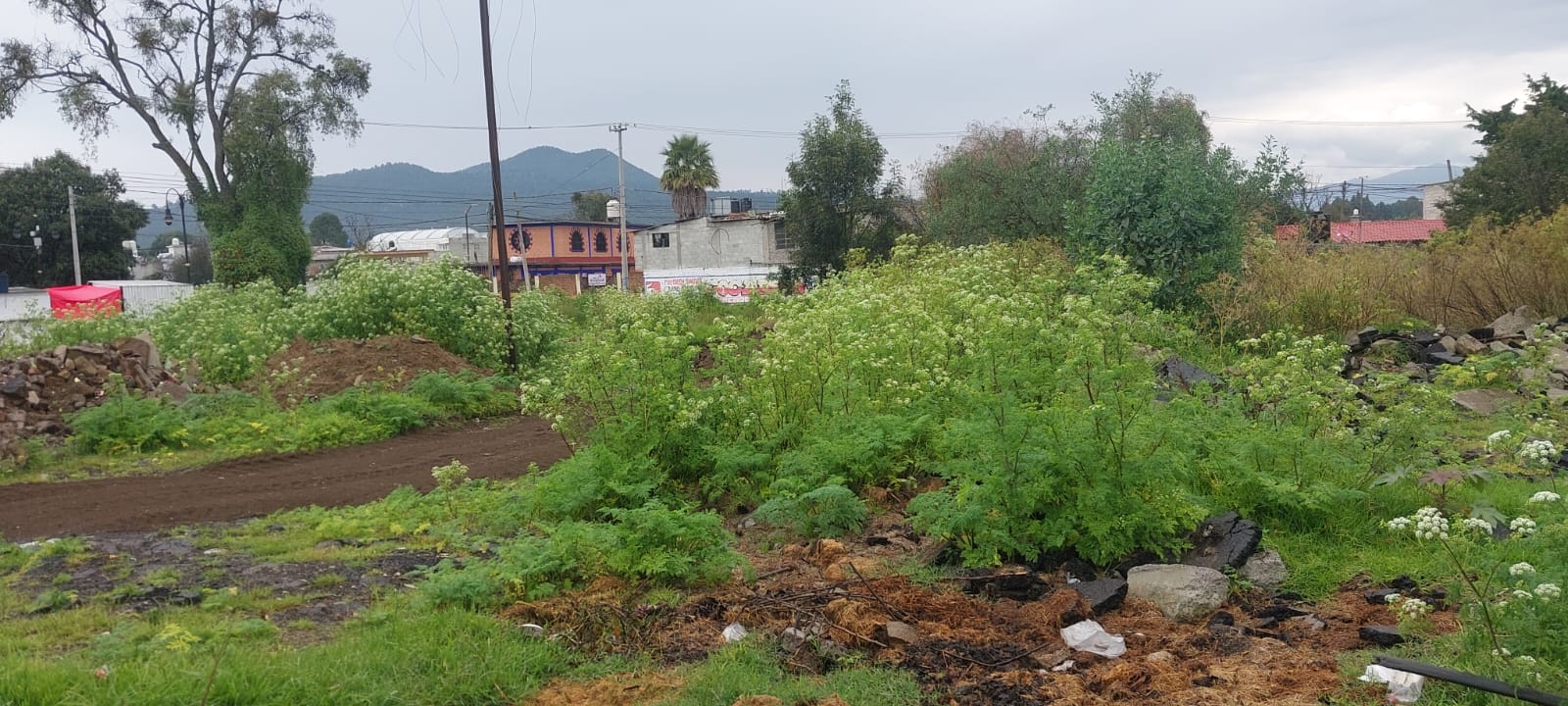 TERRENO EN VENTA EN AYAPANGO - imagen 3