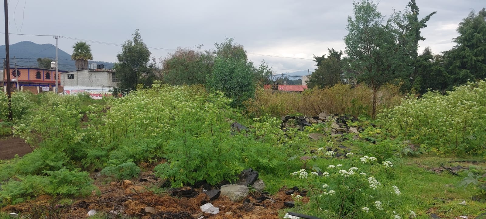 TERRENO EN VENTA EN AYAPANGO - imagen 4